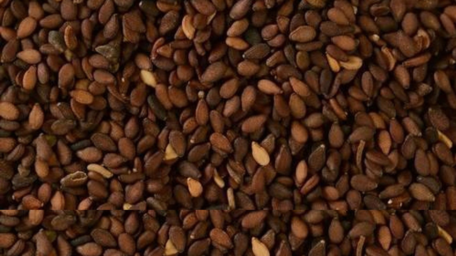 Brown Sesame Seeds